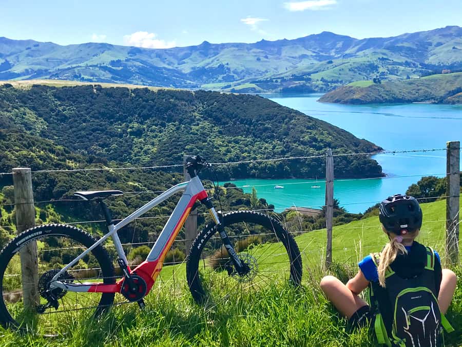 Akaroa: Guided Electric Mountain Bike Tour-Lava Loop - What the Lava Loop actually feels like