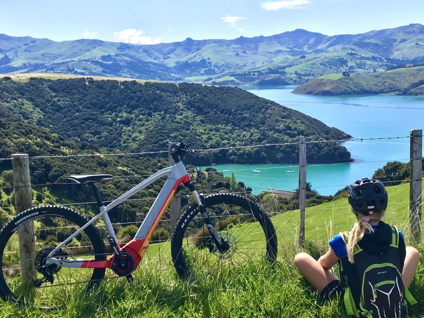 Akaroa: Guided Electric Mountain Bike Tour-Lava Loop - Guides, group size, and the human side