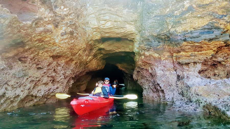 Akaroa: Guided Sunrise Sea Kayaking Tour - Wildlife to watch for along the route