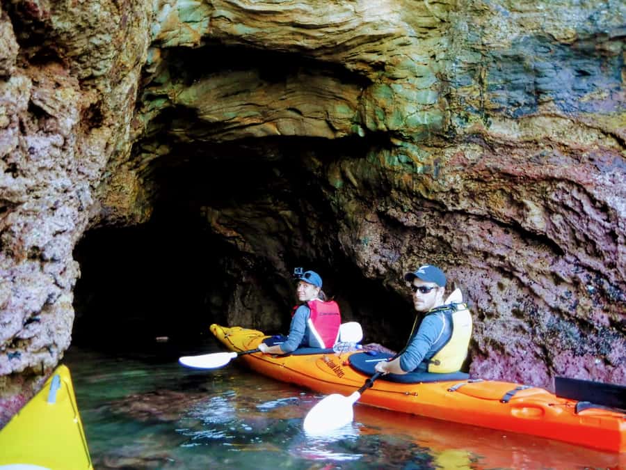 Akaroa: Guided Sunrise Sea Kayaking Tour - Who will enjoy this paddle most?