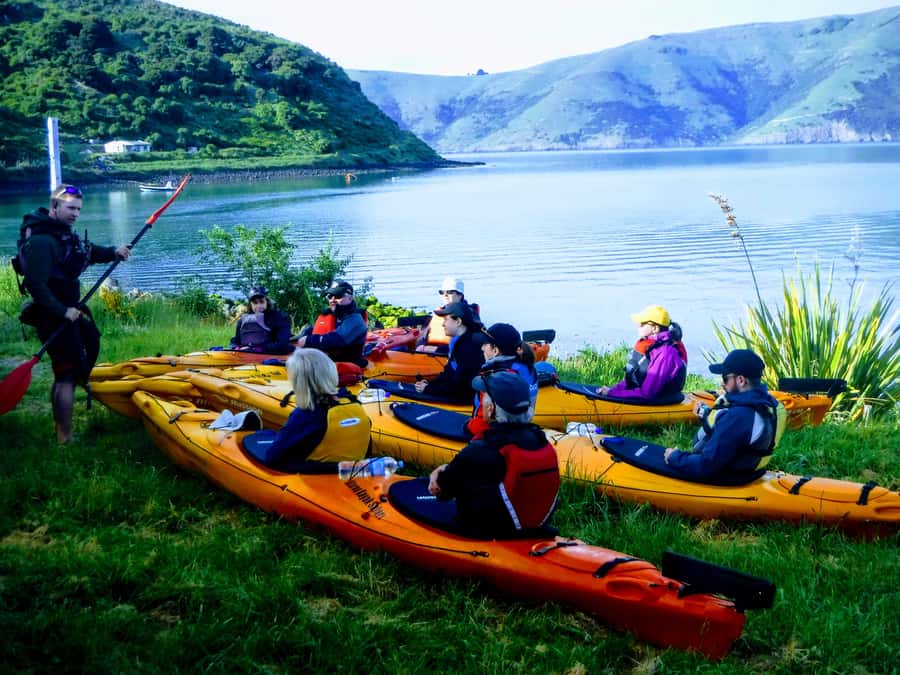 Akaroa: Guided Sunrise Sea Kayaking Tour - Practical preparation for a smoother morning