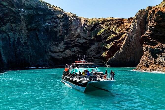 Akaroa Harbour Nature Cruise - Why Akaroa Harbour is worth seeing from the water