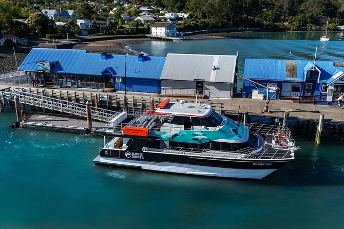 Akaroa Harbour Nature Cruise - What the two-hour schedule does well
