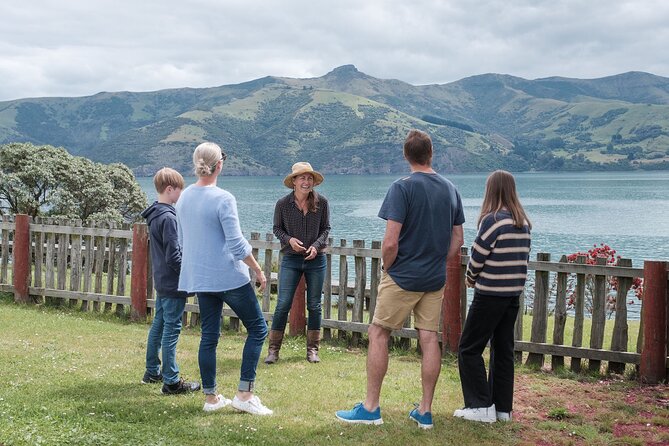 Akaroa Nature and History Private Tour - The 7th Generation - The scenic drive beyond town