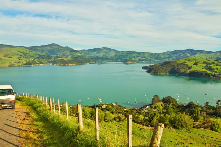 Akaroa: Pohatu Penguins Scenic Nature 2-Hour or 4-Hour Tour - From Akaroa streets to a volcanic crater rim