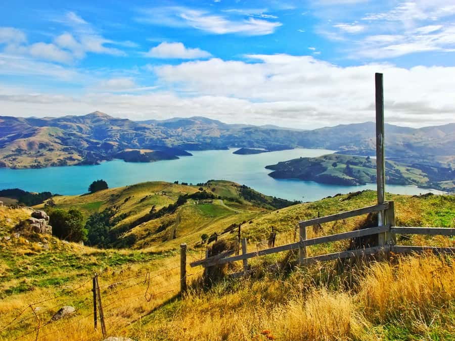 Akaroa: Pohatu Penguins Scenic Nature 2-Hour or 4-Hour Tour - The route is scenic, but comfort matters