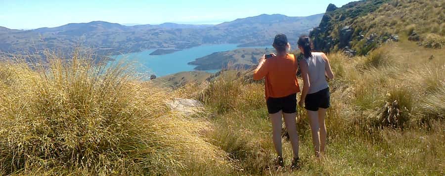 Akaroa: Pohatu Penguins Scenic Nature 2-Hour or 4-Hour Tour - The working farm at Pohatu Bay