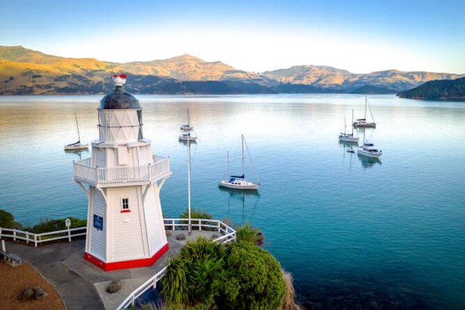 Akaroa Private Day Tour from Christchurch - Key points to know before booking