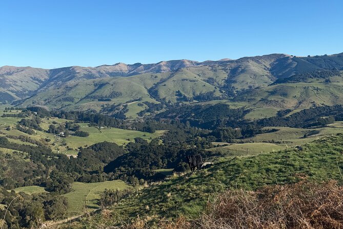 Akaroa Private Day Tour from Christchurch - Three hours inside Akaroa’s volcanic setting