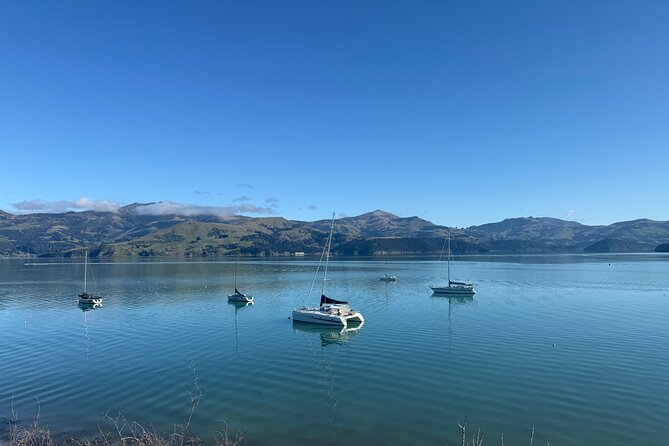 Akaroa Private Day Tour from Christchurch - What the day feels like from 8:00 a.m. to 5:00 p.m.