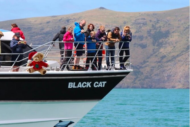 Akaroa Private Day Trip From Christchurch - Cheese tasting and the optional dolphin cruise