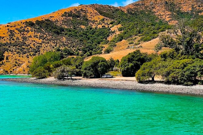 Akaroa Private Group Day Trip from Christchurch - Key points at a glance