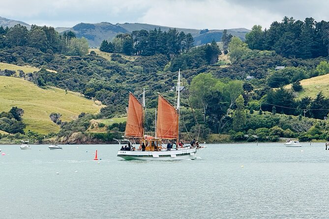 Akaroa Private Group Day Trip from Christchurch - Who should book this Akaroa day trip?