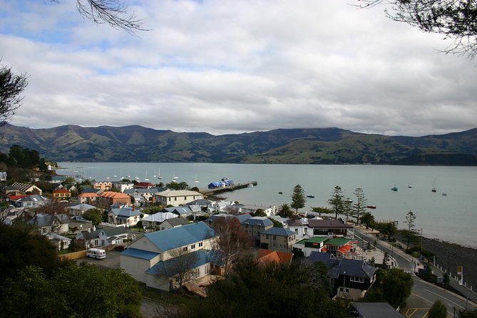 Akaroa Shore Excursion: Akaroa Harbour and Sheep Farm Local Tour - Timing, pickup, and cruise-day planning