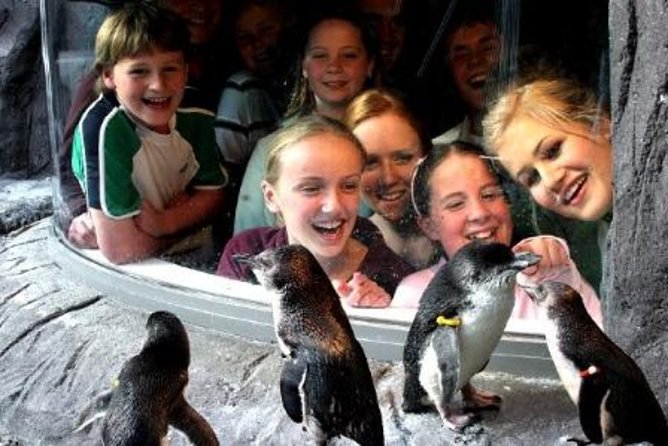 Akaroa Shore Excursion: Banks Peninsula, Christchurch City Tour and the International Antarctic Centre - The Hagglund ride is the big hands-on moment