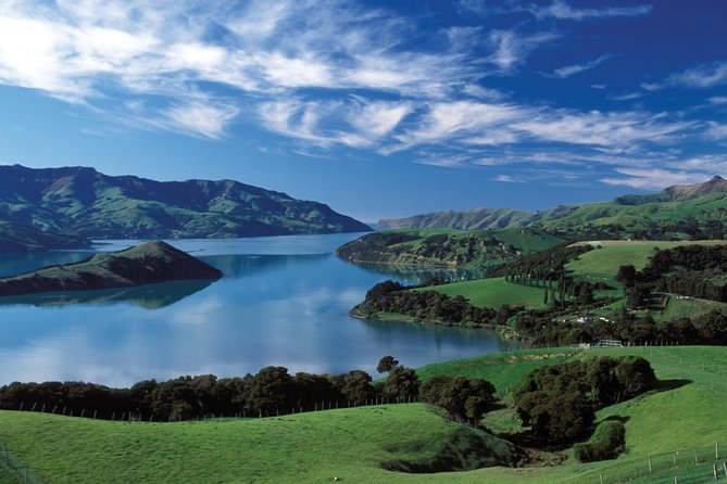 Akaroa Shore Excursion: Christchurch City Tour and Jet Boating - Christchurch Botanic Gardens in 30 minutes