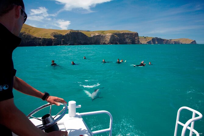 Akaroa Swim with Dolphins Tour from Christchurch - Barry’s Bay Cheese adds a local food stop