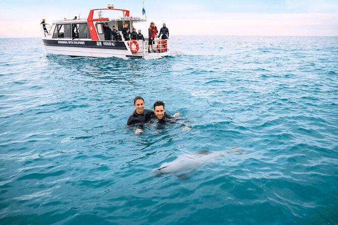 Akaroa Swim with Dolphins Tour from Christchurch - What the $223.41 price includes