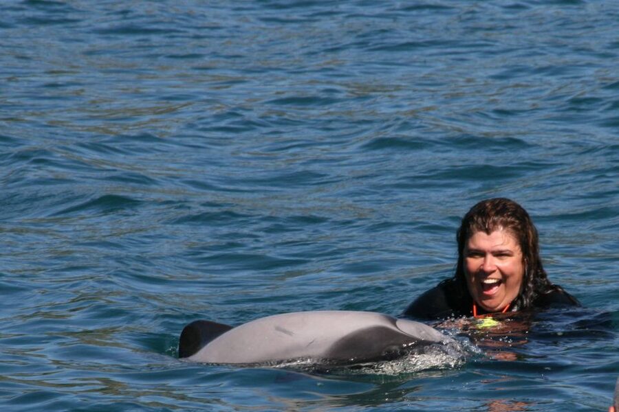 Akaroa: Swimming with Wild Dolphins Experience - Key points to know before booking