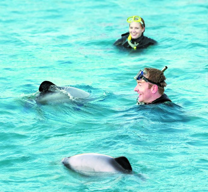 Akaroa: Swimming with Wild Dolphins Experience - The return to shore and useful comforts