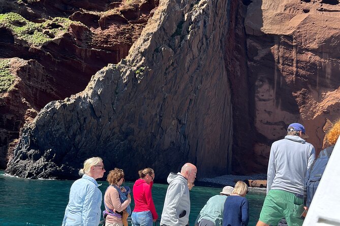 Akaroa Wildlife Cruise - Who will enjoy this Akaroa cruise most?