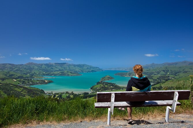 Akaroa with optional dolphin cruise (Small Group Tour) - Kaituna Valley, tea, and a short bush walk