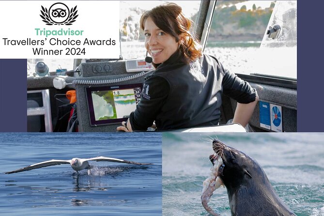 Albatross, seals, and sea birds-Wildlife Cruise - Why the albatross make this Port Chalmers cruise special