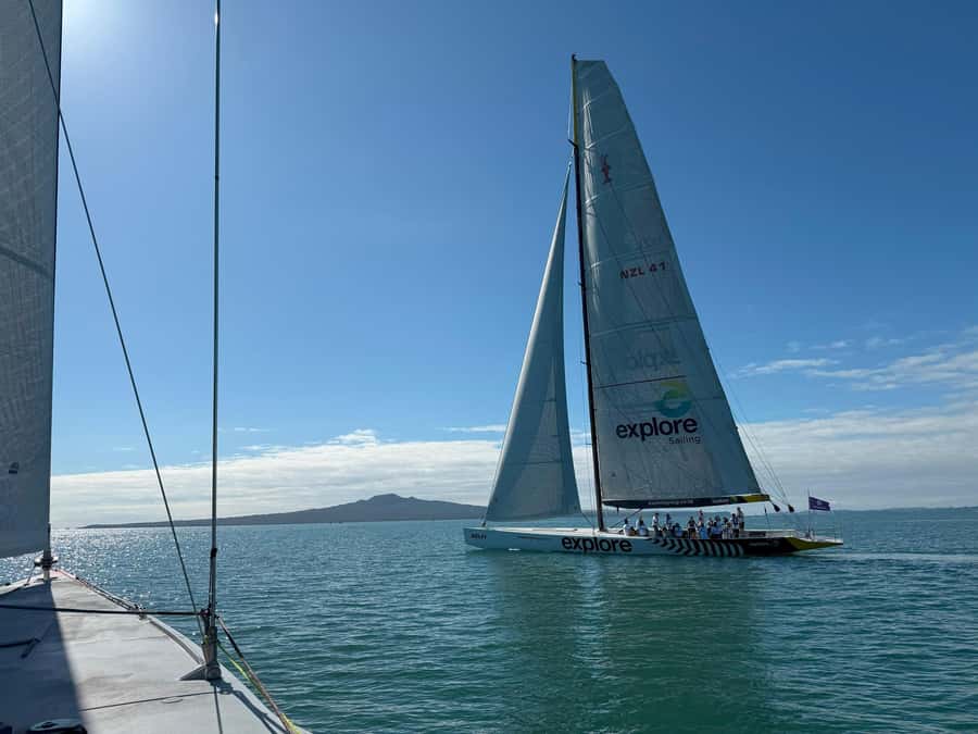 America’s Cup 2-Hour Sailing Experience Waitemata Harbour - Key points at a glance