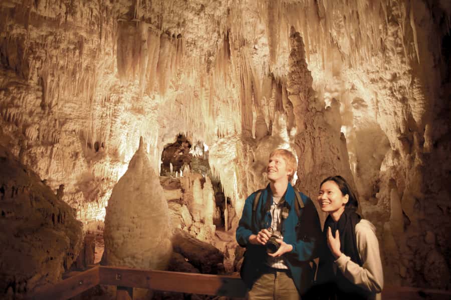 Aranui Cave 1-Hour Guided Tour - The first cave sight is a colony of cave wetas