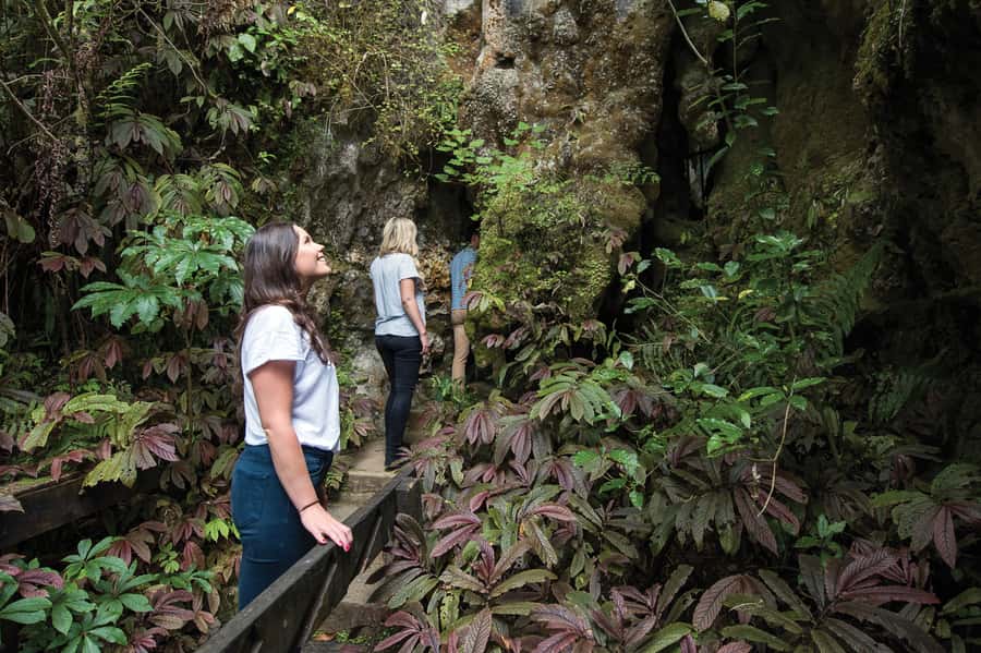 Aranui Cave 1-Hour Guided Tour - Photography is allowed, with a few sensible limits