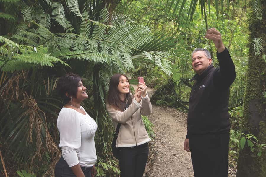 Aranui Cave 1-Hour Guided Tour - What the $47 price buys you