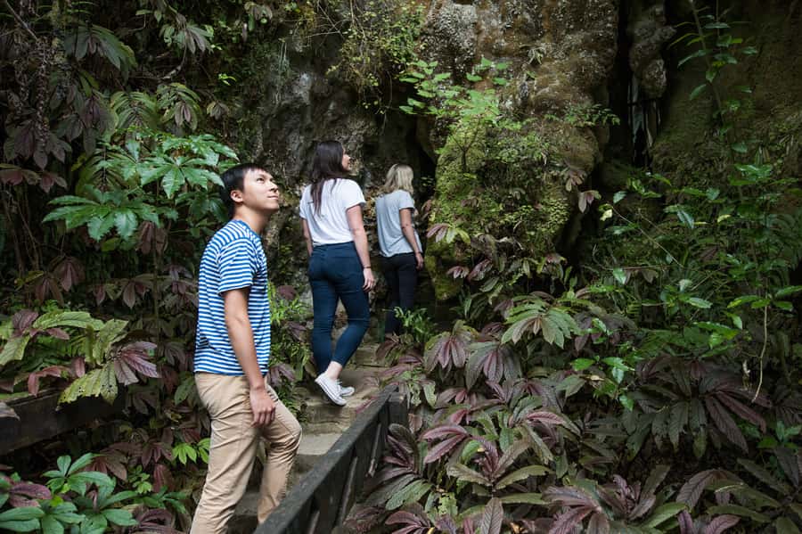 Aranui Cave 1-Hour Guided Tour - Who will enjoy Aranui Cave most