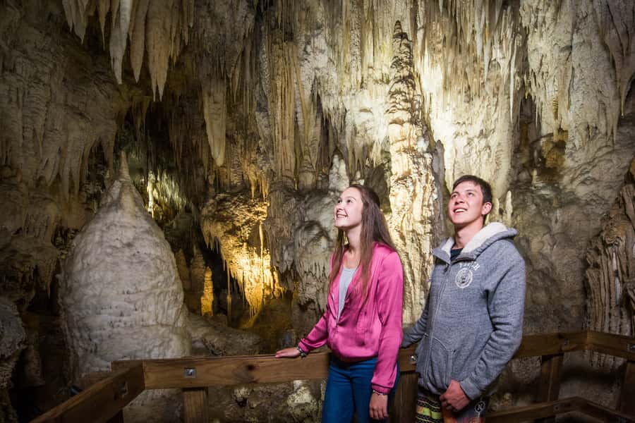 Aranui Cave 1-Hour Guided Tour - Limestone chambers reward a slow look upward