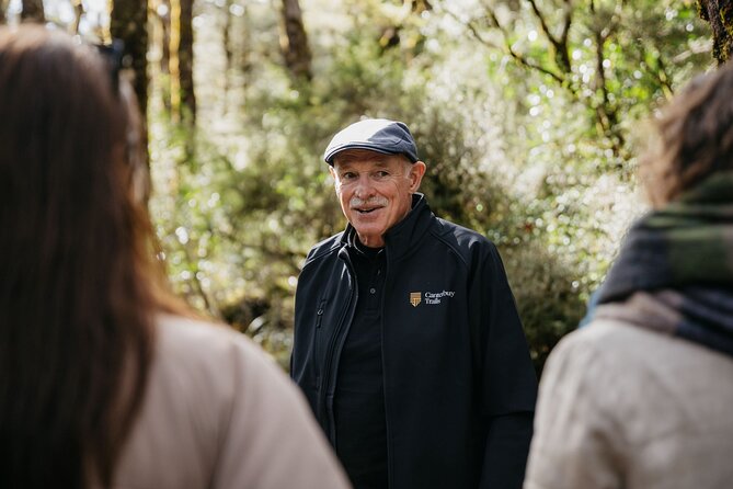 Arthur's Pass Discovery and TranzAlpine Train - Small Group Tour - The Waimakariri Gorge and the 73-meter Staircase