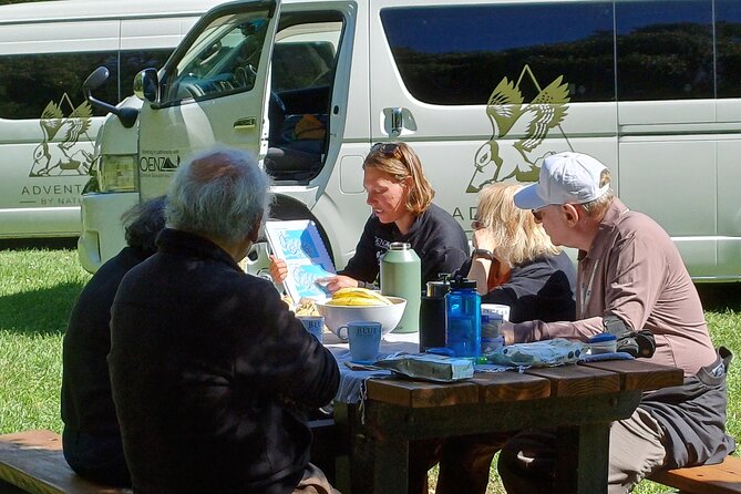 Arthur's Pass with optional TranzAlpine Train (Small Group Tour) - What the $340.69 price covers