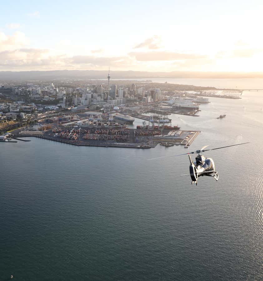 Auckland: 20min Helicopter scenic flight - City & Volcanoes - Harbour Bridge, Chelsea Sugar Works, and Auckland Zoo