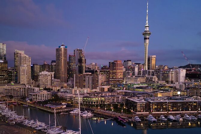 Auckland Airport Private Transfer - A calm landing after a long flight