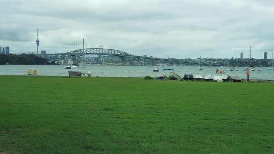 Auckland: Auckland City Tour 4 hours private - Auckland Domain and the museum stop