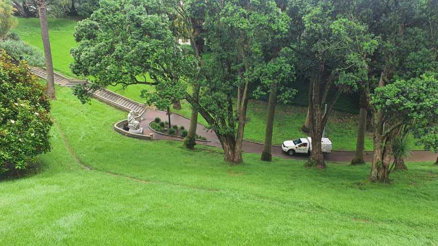 Auckland: Auckland City Tour 4 hours private - Mount Eden and Auckland’s volcanic character