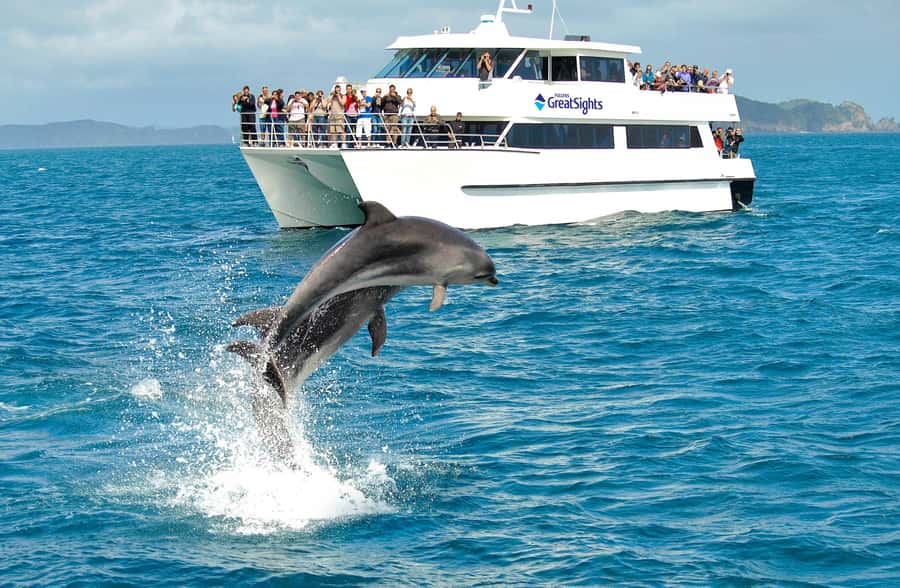 Auckland: Bay of Islands Day Tour with Dolphin Cruise - Otehei Bay: 90 minutes to choose your own pace