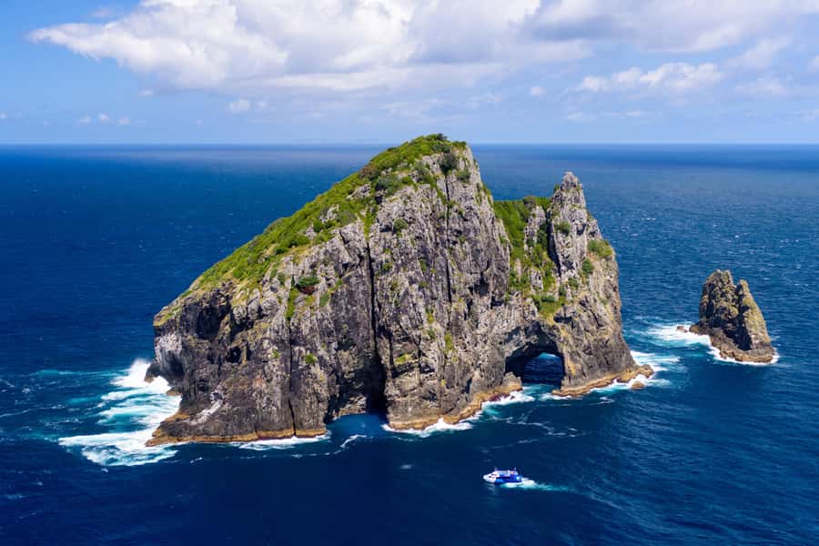 Auckland: Bay of Islands Day Tour with Dolphin Cruise - The evening road back to Auckland