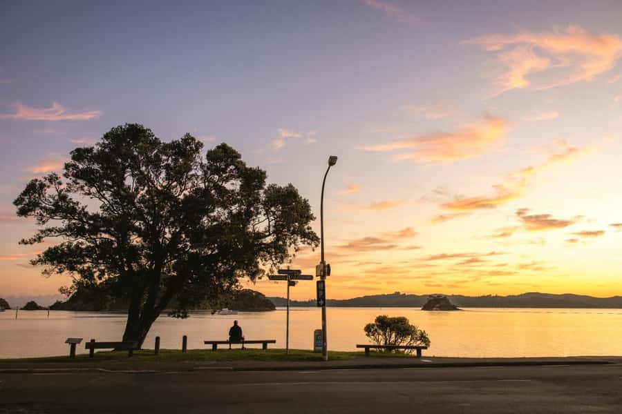 Auckland: Bay of Islands Tour & Cruise 2Day Small Group Tour - Waipoua Forest and Tane Mahuta