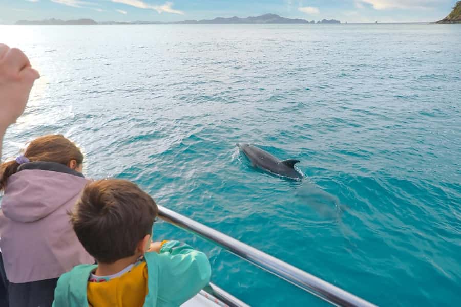 Auckland: Bay of Islands Tour & Cruise 2Day Small Group Tour - Waitangi Treaty Grounds and the cultural performance