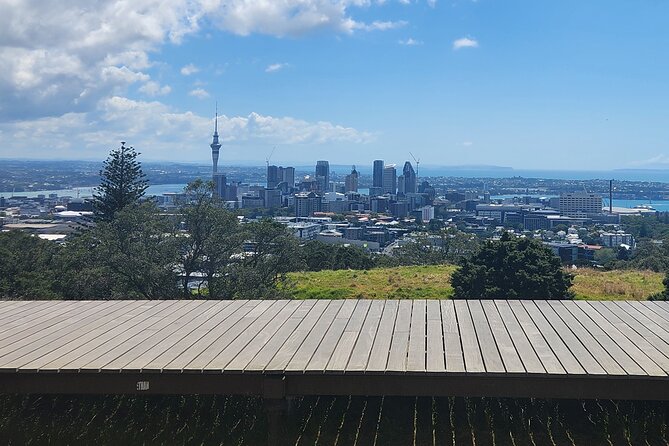 Auckland Best Top 5 Spots Half day Tour - Westhaven Marina and Auckland’s sailing culture