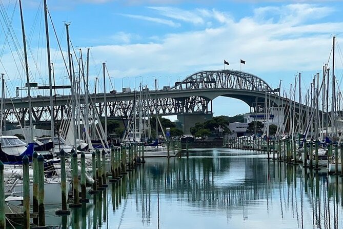 Auckland Best Top 5 Spots Half day Tour - What the private vehicle adds