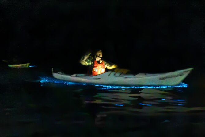 Auckland Bioluminescence Kayak Tour - Blue water, dark sky, and a paddle that makes light