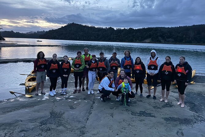 Auckland Bioluminescence Kayak Tour - What you may see, and what you should not expect