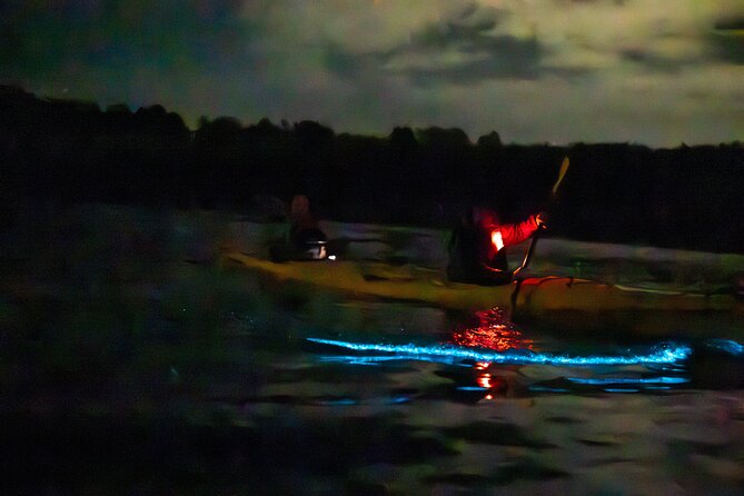 Auckland Bioluminescence Kayak Tour - Small practical details that shape the evening