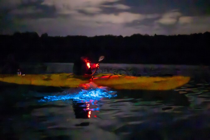 Auckland Bioluminescence Kayak Tour - Who will enjoy this most
