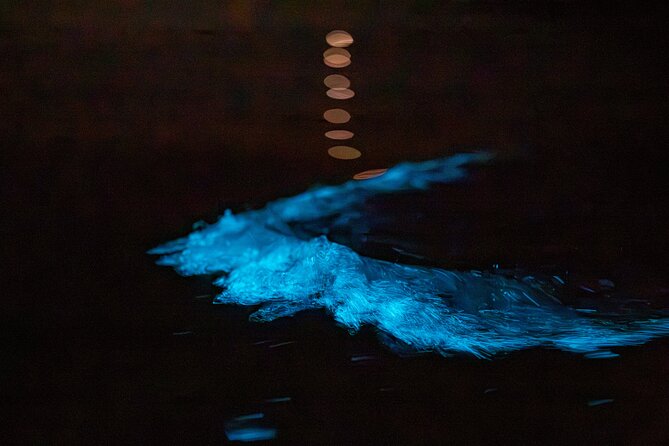 Auckland Bioluminescence Kayak Tour - Tips for making the glow easier to enjoy